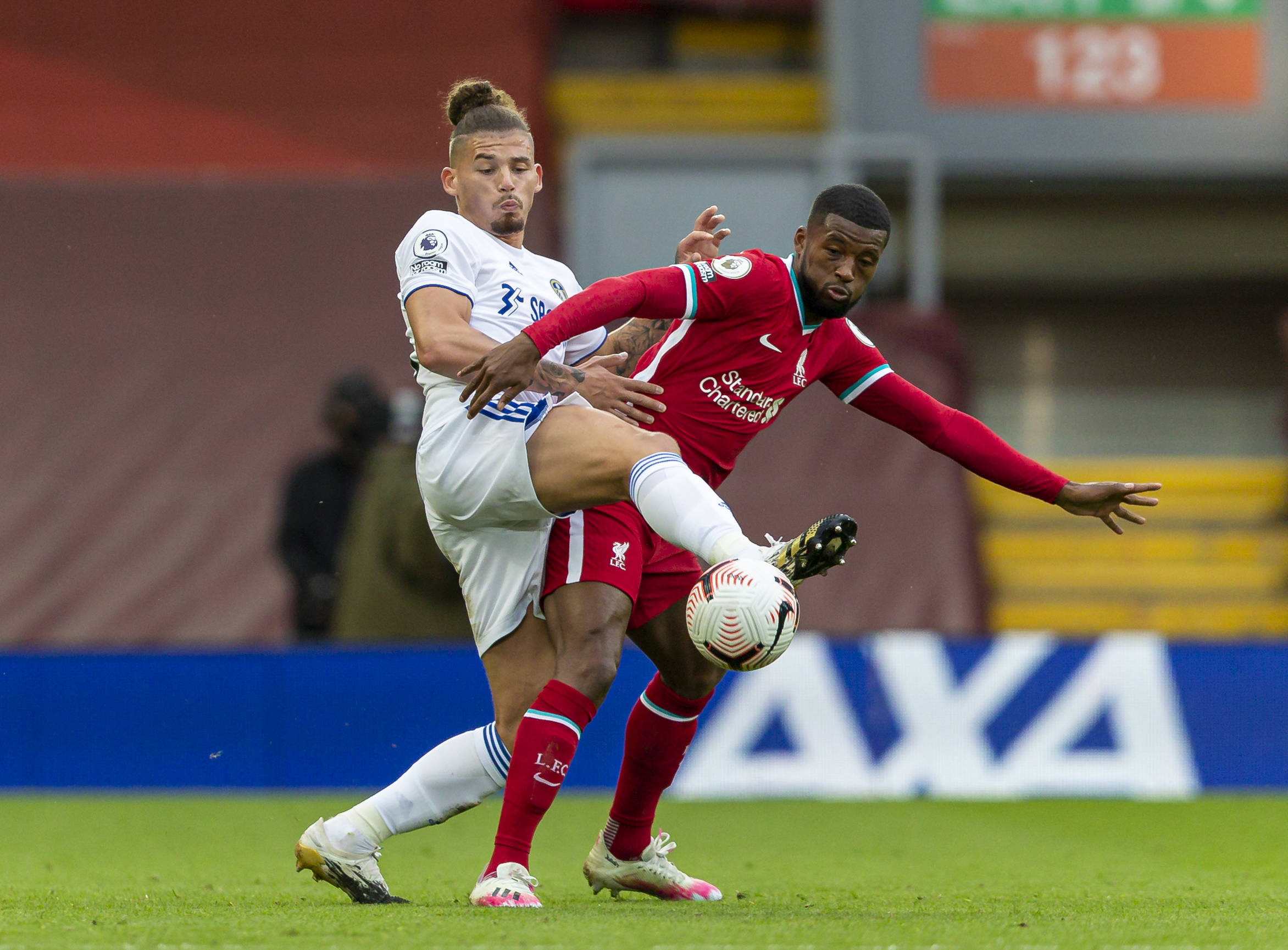 也需要擁有 也需要擁有